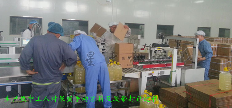 消防粉灌裝生產線，全自動粉末灌裝生產線